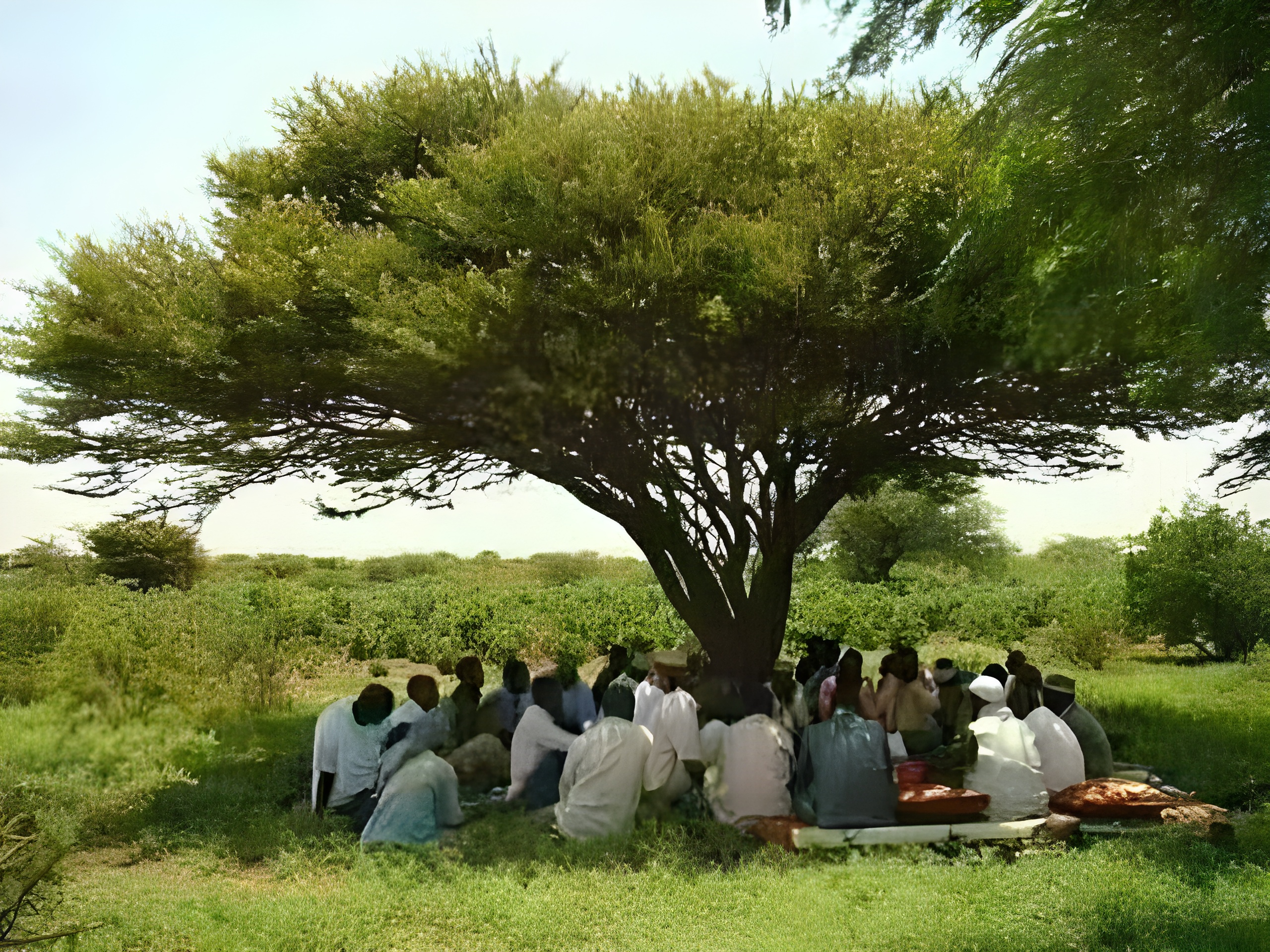 Community gathering under tree for collaborative dialogue